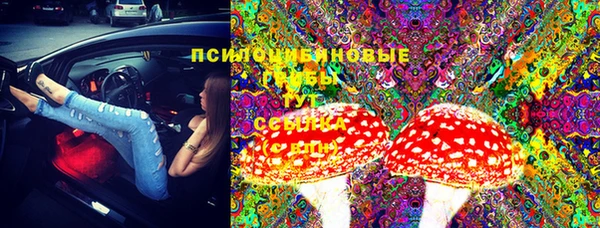 стафф Корсаков