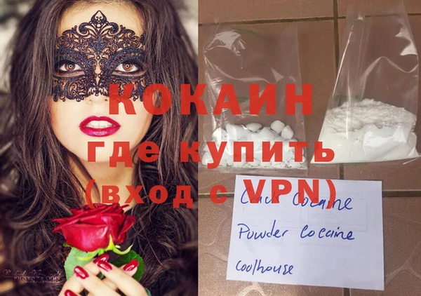 твердый Коряжма